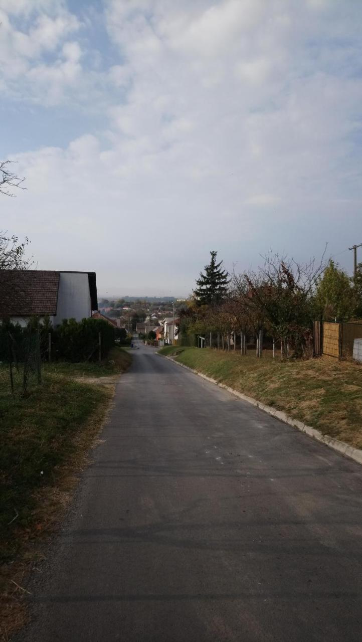 Studio Apartman Kotro Beli Manastir Exterior photo